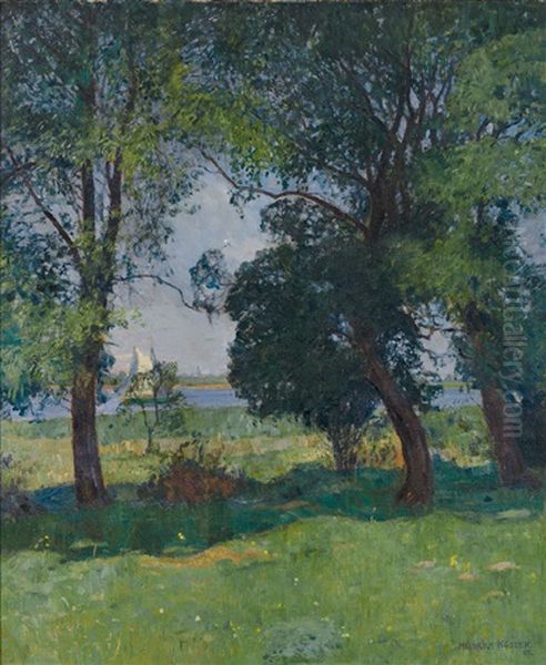 Prachtvolle Flusslandschaft Im Sonnigen Licht Mit Altem Baumbestand Und Vorbeiziehendem Boot - view 1