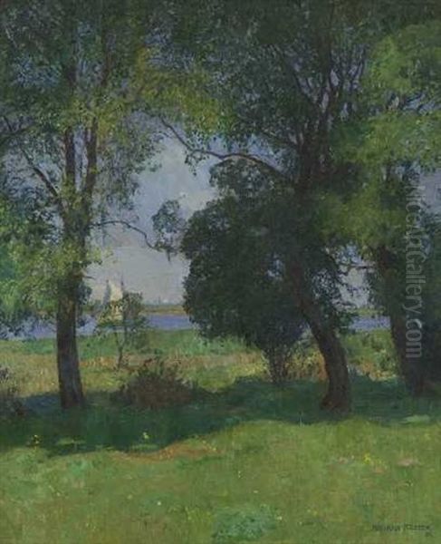 Sonnige Uferlandschaft - view 1