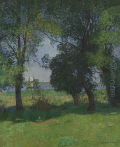 Sonnige Uferlandschaft