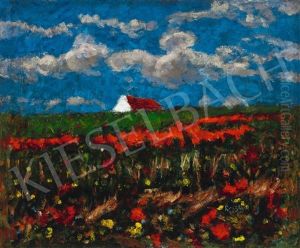 Poppy Field (storm Is Coming)