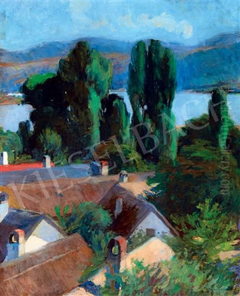 View To The Danube Bend (domos) - view 1