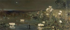 Der Stern In Der Nacht