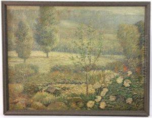 Desert Landscape