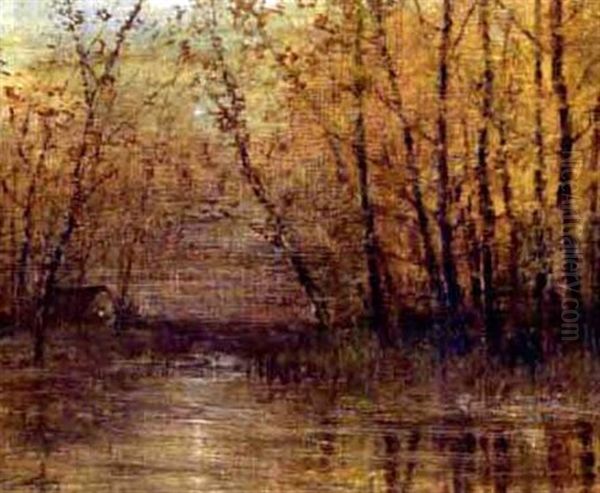 Oszi Est (fall Night) - view 1