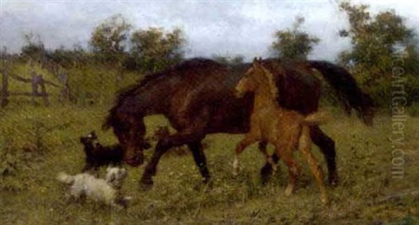 Frolicking In The Meadow - view 1