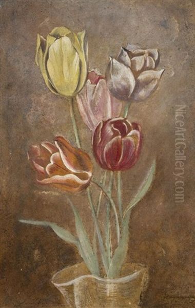 Tulipes - view 1