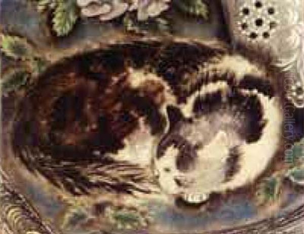 Chat Endormi - view 1