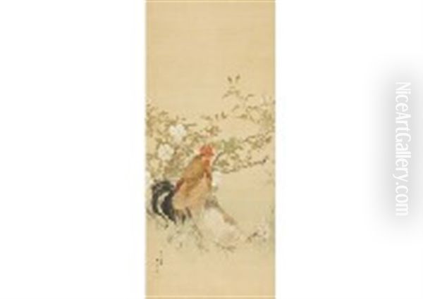 Chicken - view 1