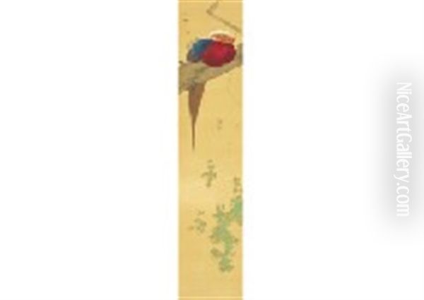 Birds - view 1