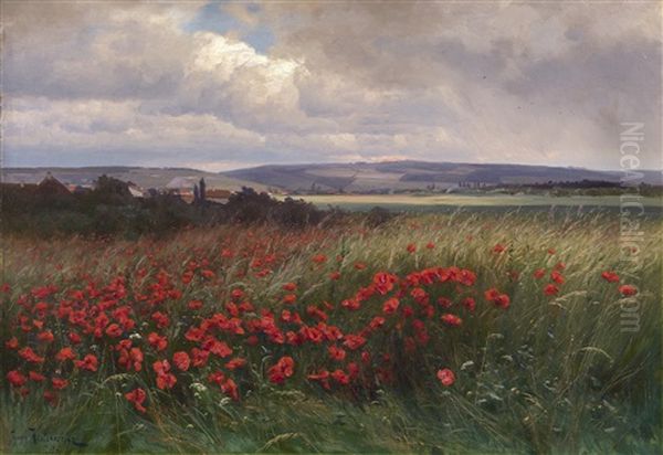 Poppies - view 1