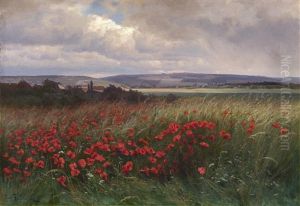 Poppies by Iosif Evstafevich Krachkovsky