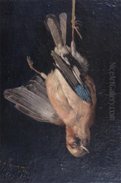 A Dead Jay - view 1