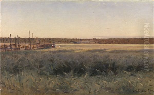 Summer Field - view 1