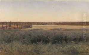 Summer Field by Iosif Evstafevich Krachkovsky