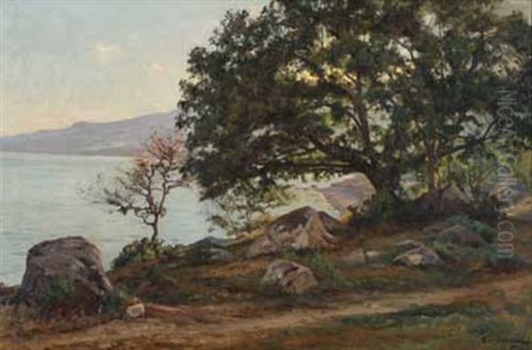 Kuste Der Krim - view 1