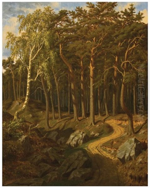 Forest Path - view 1