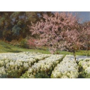 Spring Blossom