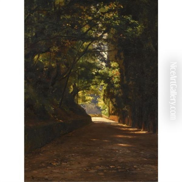 Country Road - view 1
