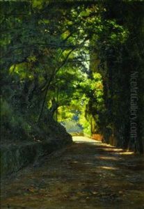 L'allee Ombragee De La Villa Arson A Nice