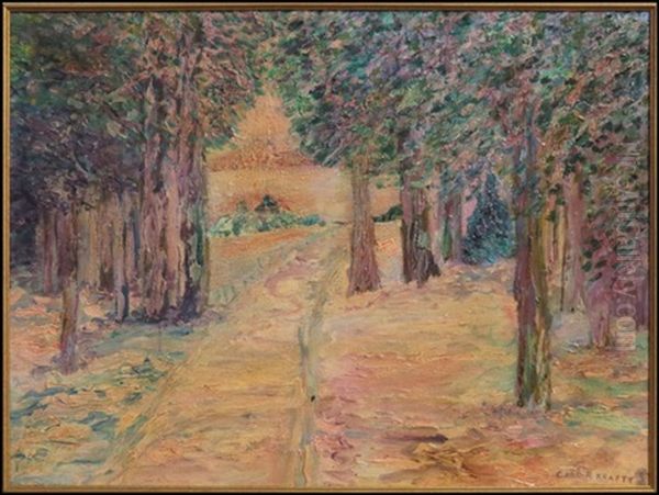 Path Through Forest Landscape - view 1