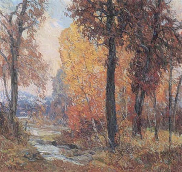 Stream Through The Fall Woods - view 1