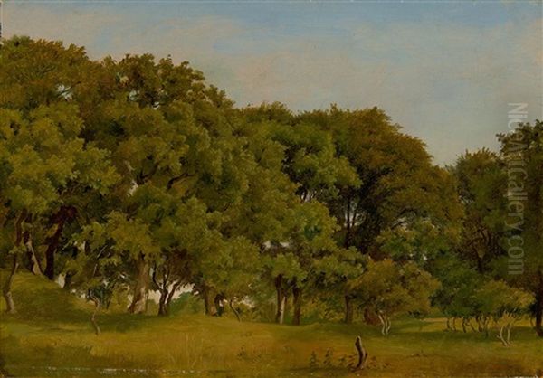 On The Edge Of The Jaegerspris Forest - view 1