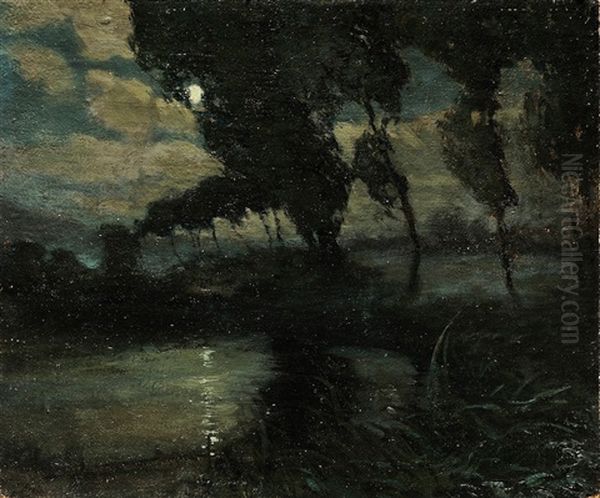 Nocturnal Landscape - view 1