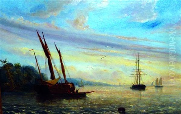 Marine - view 1