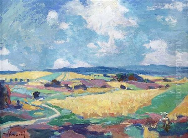Tschechische Sommerlandschaft - view 1