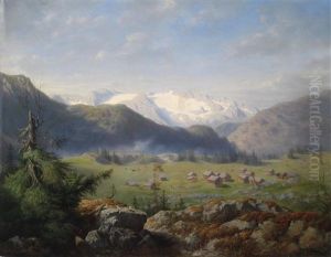 Almlandschaft Mit Blick Auf Schneebedeckte Berge