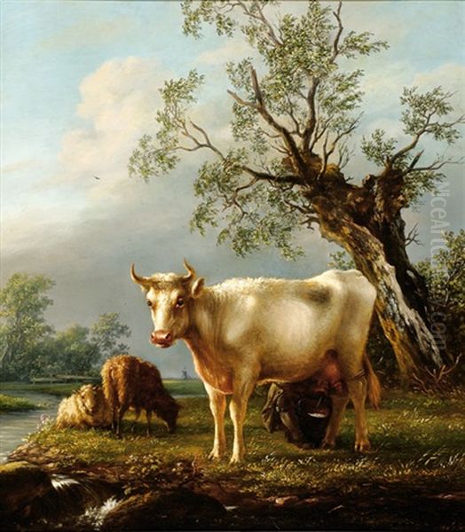 A Cow And Two Sheep On A Riverbank - view 1