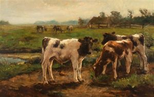 Calves In The Meadow Calves In The Meadow