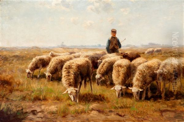 Herder Met Schaapskudde - view 1