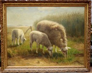 Ooi Met Lammetjes Ooi Met Lammetjes