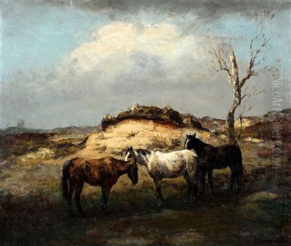 Paarden In De Duinen - view 1