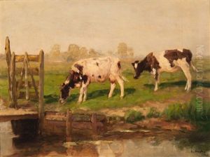 Two Cows By The Edge Of A Ditch