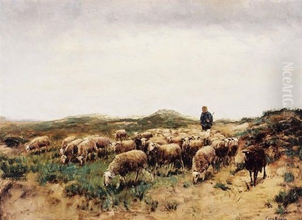 Shepherd & Flock On The Dunes - view 1
