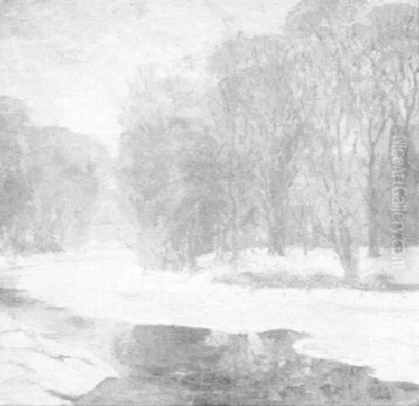 Mid-winter Thaw - view 1