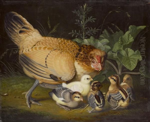Perlhuhn Mit Kucken - view 1