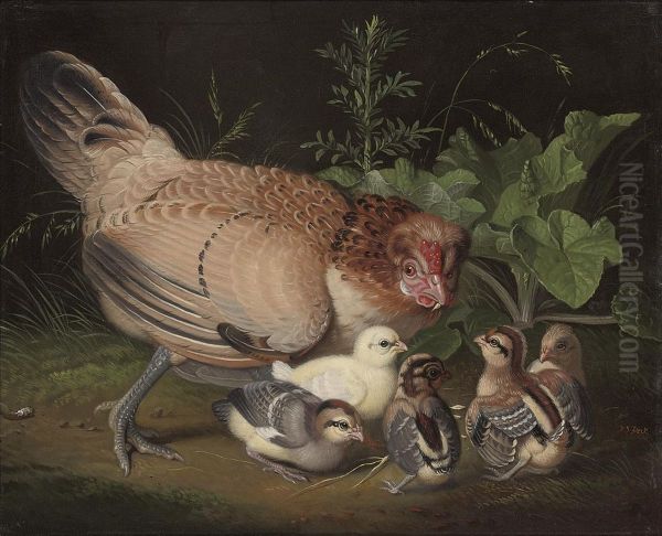 A Hen And Chicks In A Landscape - view 1