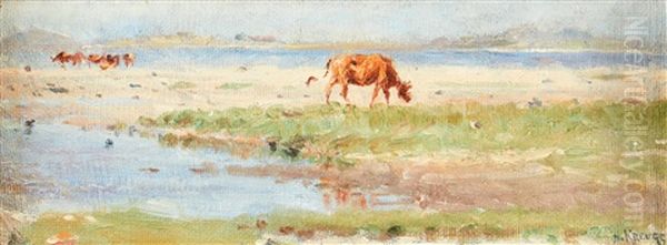 Sommarlandskap Med Betande Kor - view 1