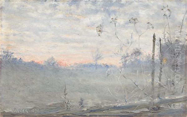 Skymning (smaland) - view 1