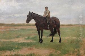 Barbacka