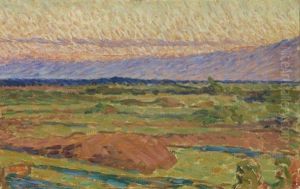 Weite Sommerlandschaft Weite Sommerlandschaft