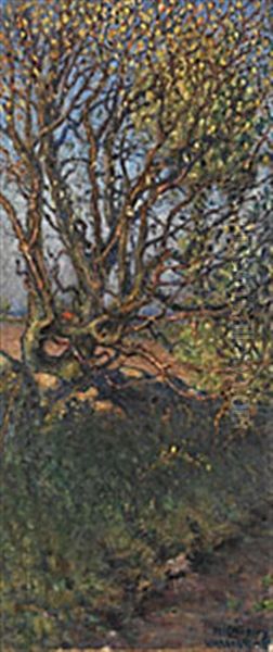 Solbelyst Trad - view 1