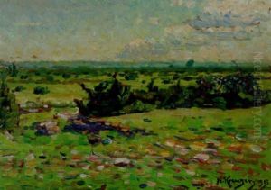 Landskap Fran Oland