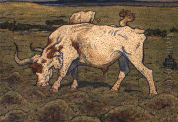 Vita Oxar - view 1