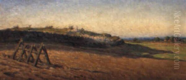 Sommarlandskap Fran Halland - view 1