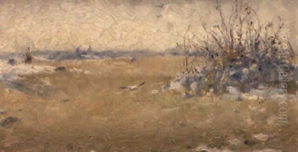 Varlandskap - view 1
