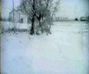Vinter- Knapegard Vinter- Knapegard